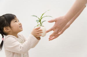 お子様やお孫様のための資産財産運用