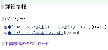 キャリアアップ助成金パンフレットイメージ画像