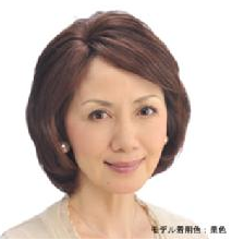 ウィッグ使用例